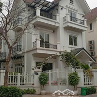 Biệt Thự Đơn Lập Trung Yên - Vũ Phạm Hàm, 220M Lô Góc Hiếm Đẹp Có Hầm