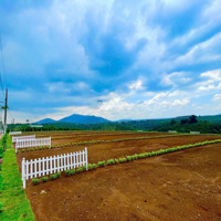 Chỉ Cần Thanh Toán Trước 300 Triệu Sở Hữu Lô Đất Vàng Tại Di Linh, Vị Trí Đẹp, Giá Thật, Ưu Đãi Khủng