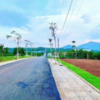 Chỉ Cần Thanh Toán Trước 300 Triệu Sở Hữu Lô Đất Vàng Tại Di Linh, Vị Trí Đẹp, Giá Thật, Ưu Đãi Khủng