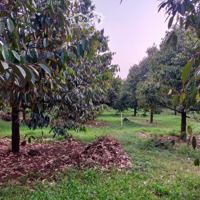 Bán Đất 500M2, 1,85 Tỷ Tại Bảo Vinh, Long Khánh, Đồng Nai ...Mặt Tiền16M Dài 33M, Full Hồng, Lên Thổ Cư