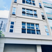 Tòa Nhà Đường Cửu Long 8X20M Hầm 5 Lầu Cho Thuê
