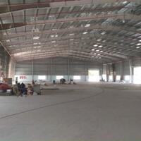 Cho thuê kho xưởng 9.440m2; 18.800m2; 28.300m2; 30.000m2; 50.000m2 trong khu công nghiệp Phú Mỹ