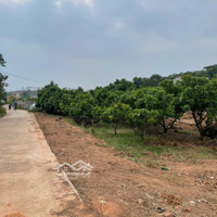 Chỉ Với Vốn Nhỏ - Sở Hữu Đất Nền Trung Tâm Chũ Đón Đầu Thị Trường Mới Nổi