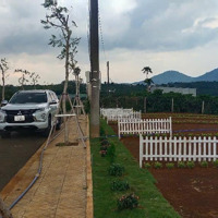 Bán Gấp Trong Tuần : 01 Lô Đất Đẹp Nhất Gần Ql20 Ngay Chợ Hòa Ninh - View Đẹp Giá Chỉ Từ 320 Triệu