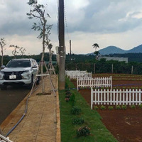Bán Gấp Trong Tuần : 01 Lô Đất Đẹp Nhất Gần Ql20 Ngay Chợ Hòa Ninh - View Đẹp Giá Chỉ Từ 320 Triệu