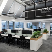 Cho Thuê Văn Phòng Vip Tại Cầu Giấy, Hà Nội.diện Tíchlinh Hoạt 50M²-100M²-250M²-500M²-1000M², Giá Tốt