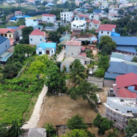296 Mét Có 200 Thổ Cư- Giá Chủ Đang Chào Bán Rẻ Nhất Khu Thủy Xuân Tiên