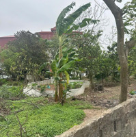 Lô Đất Mặt Đường Xã Hoàng Hoa Thám, Gần Ủy Ban Xa, Mặt Tiền 8,6M. Liên Hệ 0914491189