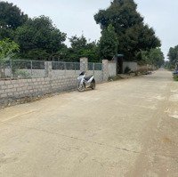 Chính Chủ Gửi Bán Lô Đất Đẹp 295M² (100M² Thổ Cư) Tại Xã Thủy Xuân Tiên, Chương Mỹ, Hn