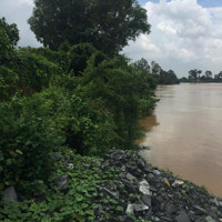 Nhà Vườn View Sông Đồng Nai- Tân Triều Tân Bình Vĩnh Cữu. 872M Sổ Riêng Đường Ôtô. Giá Chỉ 4,5 Tỷ.