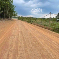 Bán Gấp Đất Sào Tân Hòa, Đồng Phú Kế Tuyến 2 - 65M Giáp Kcn Tân Tiến 1 - 2 Giá Đúng 390 Triệu