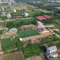 Bán Đất Nền Khu Đô Thị Cienco5. Diện Tích 100M2 Tại Xã Tiền Phong, Mê Linh, Hà Nội,