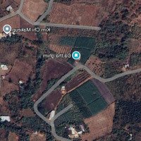Bán Đất Rộng 7300M² Cách Mặt Tiền Đường 765 Chỉ 500M Xã Lâm San, Cẩm Mỹ, Đồng Nai