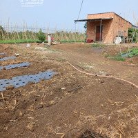 Bán Đất Rộng 7300M² Cách Mặt Tiền Đường 765 Chỉ 500M Xã Lâm San, Cẩm Mỹ, Đồng Nai