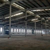 *Cho thuê kho xưởng*4200m2-8000m2 KCN Hải Sơn, Đức Hoà Hạ, Đức Hoà, Long An