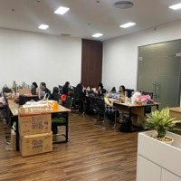 Cho Thuê Vpmb 1000M2(Có Cắt Lẻ)Royal City 72A Nguyễn Trãi, 386.250Đ-437.750Đ Chưa Vat, Đã Có Phí Dv