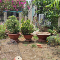 Cần Bán 170M2 Thổ Cư 100% Tại Khối 3 Thị Trấn Cần Giuộc, Đường Xe Tải, Giá Bán 2.35 Tỷ, Liên Hệ: 0984459878