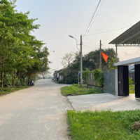 Khổ Biệt Thự 296M2 Mặt Tiền Khúc Thừa Dụ, View Kênh.