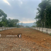Bán Đất Tại Đường 87A, Xã Yên Bài, Ba Vì, Hà Nội, 6 Triệu / M2, 720 M2