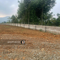 Bán Đất Tại Đường 87A, Xã Yên Bài, Ba Vì, Hà Nội, 6 Triệu / M2, 720 M2