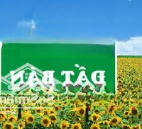 Bán Đất Tại Xã Việt Dân, Đông Triều, Quảng Ninh