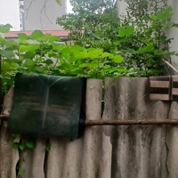 Mảnh Đất Đẹp Ngọc Hồi Còn Sót Lại Chủ Gửi E Bán Gấp Trong Tháng .Diện Tích43 M2 Chủ Giảm Chào Hơn 8 Tỷ .