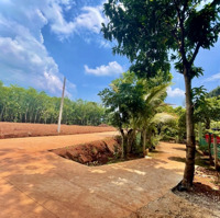 Bán Nhanh 1186M2 Đất Shr Giá Bán 170 Triệu Ngay Kcn, Gần Chợ Để Trả Tiền Thuê Mặt Bằng Ở Sg