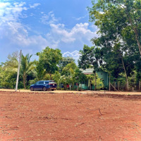 Bán Nhanh 1186M2 Đất Shr Giá Bán 170 Triệu Ngay Kcn, Gần Chợ Để Trả Tiền Thuê Mặt Bằng Ở Sg