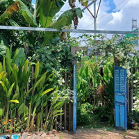 Bán Đất Dự Án Tam Đa Bcr - Thuộc Mặt Tiền Đường Tam Đa Phường Trường Thạnh Q9, Hướng Đông Bắc