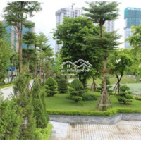 Bán Căn Góc 3 Phòng Ngủhướng Đông Nam Và Căn Đường Lvl, Dự Án 33 Lê Văn Lương, Giá 8X Tr/M2, Tầng Trung
