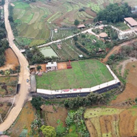 Siêu Phẩm Nghỉ Dưỡng Hòa Lạc 2025 Cơ Hội Đầu Tư X2 - X3