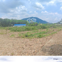 Miếng Đất Thổ Cư 137M2, Ngang 6.5M Tại Suối Cao, Xuân Lộc. Tiện Ích Xung Quanh Đầy Đủ Và Giá Rẻ