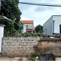 Chính Chủ Bán 99M² Thổ Cư Trục Chính Phượng Trì, Tân Tiến, Văn Giang Gần Đh Bách Khoa, Đông Tây 2