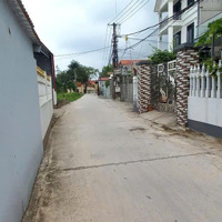 Chính Chủ Bán 99M² Thổ Cư Trục Chính Phượng Trì, Tân Tiến, Văn Giang Gần Đh Bách Khoa, Đông Tây 2