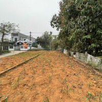 Bán Nhanh Lô Đất 128.4M2, Mặt Đường Dh5 Hà Lộc, Gần Kcn Phú Hà, Giá Rẻ, Phù Hợp Đầu Tư, Kinh Doanh