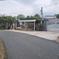 130m2 thổ cư. Đường thông. Rớt nhựa 100m. 420tr
