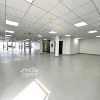 Bán Nhà Mặt Tiền Nguyễn Đình Chiểu Q.1, (Dt 7 X 21M) - Hầm + 6 Tầng - Hđt 155 Triệu/Tháng - Giá Bán 55 Tỷ