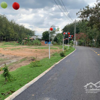 Đất Sổ Sẵn 212,3M2 Có 100M2 Thổ Cư Ngay Tứ Giác Khu Công Nghiệp Bình Dương Chỉ 300 Triệu Mua Được Đất