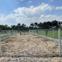 Cần Bán Gấp Lô Đất Đường Nhựa Đường Hồ Văn Tắng, Tân Phú Trung, 509M2
