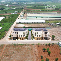 Còn Duy Nhất 1 Lô 850 Triệu| Mặt Nhựa 30M |Khu Vực Tiềm Năng|Gần Sân Bay Liên Khương|Đức Trọng