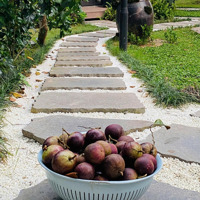 Cần Bán Khu Nghỉ Dưỡng Vị Trí Đẹp Tại Ba Vì Hà Nội Vị Trí Đẹp