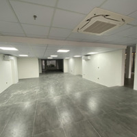 Cho Thuê Siêu Phẩm Mp Trần Thái Tông, 600M2X4T,Mặt Tiền30M, Mọi Mô Hình, 600 Triệu/Th. Liên Hệ: 09322.88997