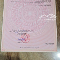 Bán Đất Đẹp Hòa Liên 2, Giá Tốt Cho Nhà Đầu Tư