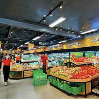 Chính Chủ Cần Bán Quỹ Đất Lớn Cực Đẹp Ở Mặt Tiền Lê Văn Lương, Trung Tâm Xã Phước Kiển