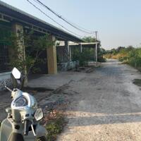169m2 có thổ cư. Đất Trảng Bàng ngay KCN Phước Đông. 5xx tr