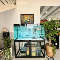 Giảm 500 Triệu Bán Nhà 1 Trệt 1 Lửng 40.8M2 Phạm Văn Chiêu - Gò Vấp