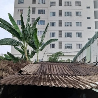 Bán Đất Ngay Sau Anh Tuấn Apartment, 42,5 Triệu/M2, 72 M2, Phú Xuân, Nhà Bè, Hcm
