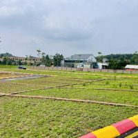 Chính Chủ Cắt Lỗ 200 Triệu Bán Mảnh Đất Ngay Trung Tâm Thị Trấn Gần Ủy Ban, Chợ, Trường Cấp 1 Cấp 2