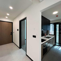 Cho Thuê Gấp Cc De La Sol, Tôn Thất Thuyết, 23 Triệu, 85M2