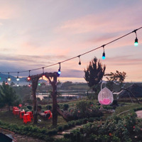 Bán Đất Đẹp Tại Đường 20, Xã Hoà Ninh, Di Linh, Lâm Đồng, 2,1 Tỷ, 272,7 M2
